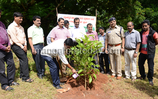 Green Mangalore launched Mcc 3